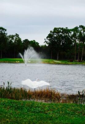 Breckenridge Fountain