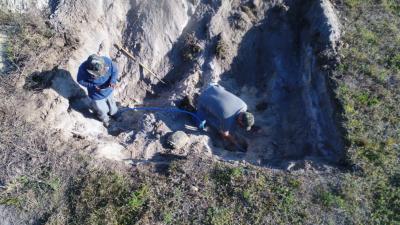 Gopher-Tortoise-Removal-01