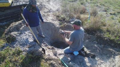 Gopher-Tortoise-Removal-02