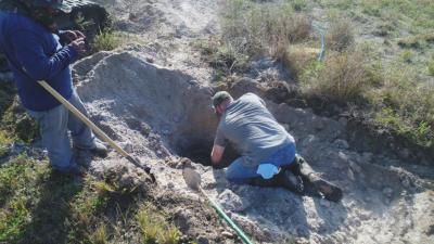 Gopher-Tortoise-Removal-03