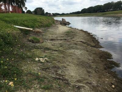gallery shoreline erosion control 1915