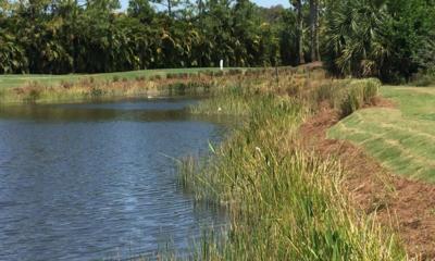 gallery environmental services 01-1