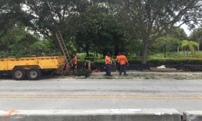 gallery environmental services 03