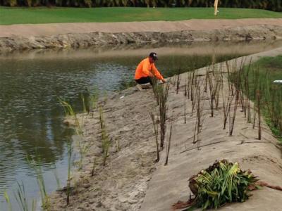 gallery shoreline erosion control 03